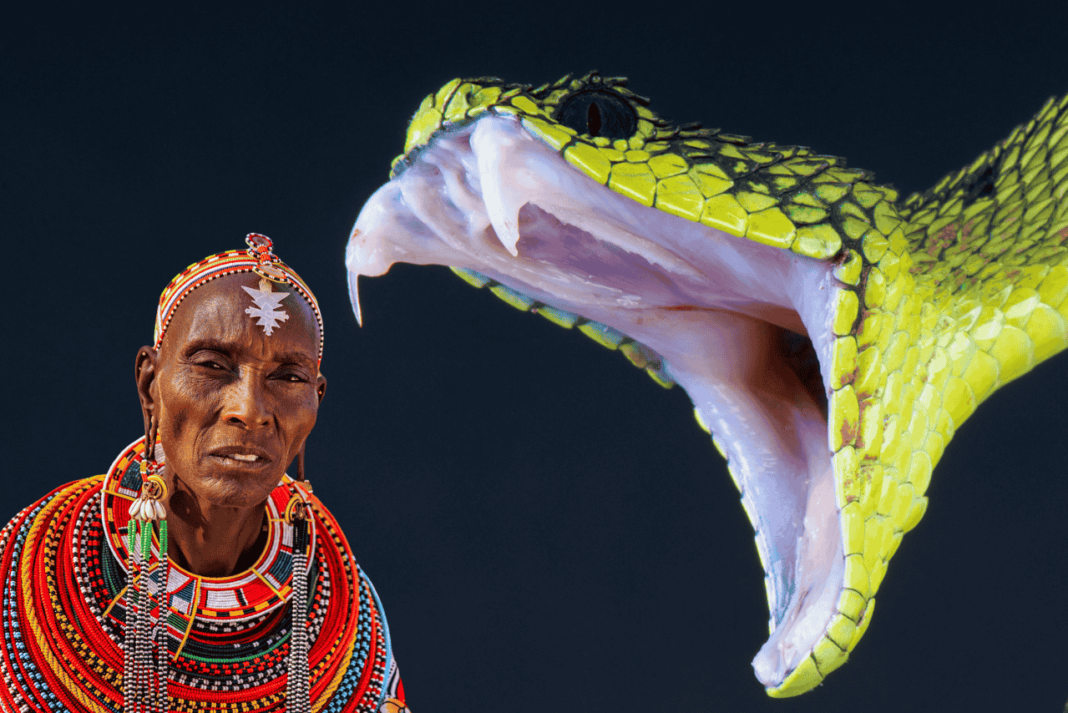 Irula tribe venom extraction for antivenom production in southern India - Feature Pakistan