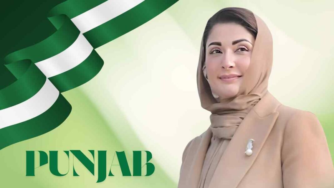 Chief Minister Maryam Nawaz Sharif with Punjab-themed background highlighting provincial healthcare initiatives