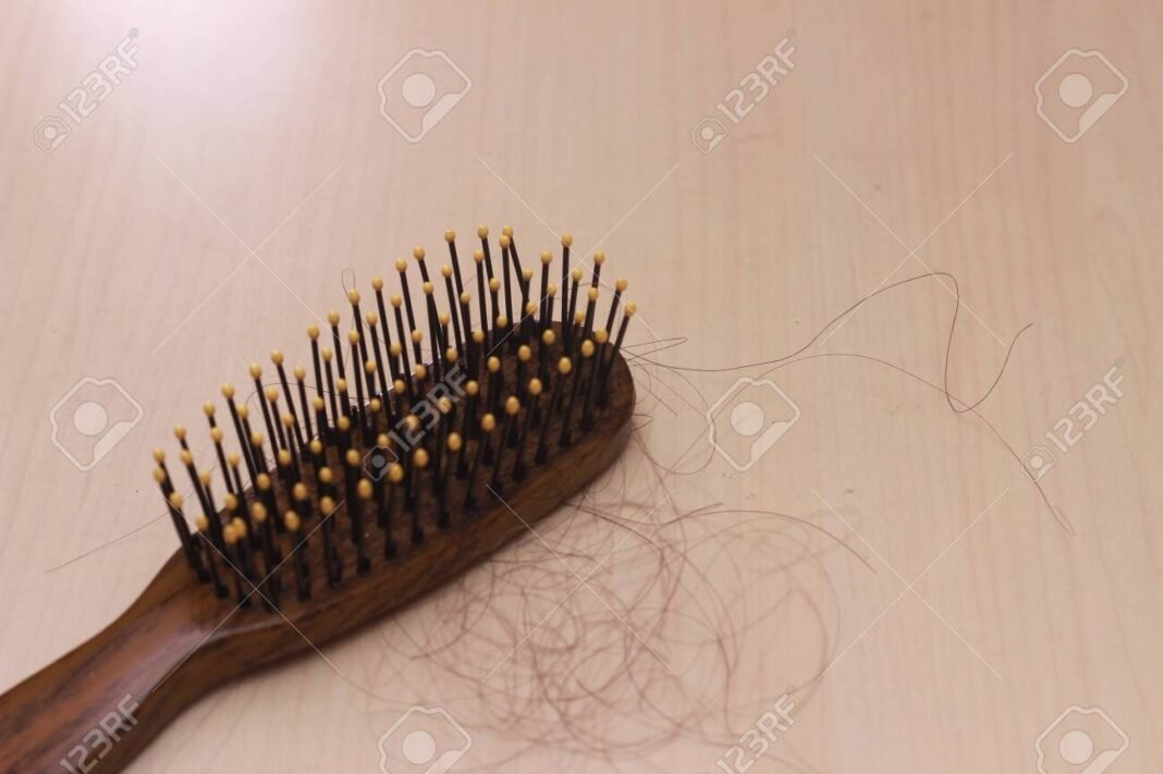 Close-up of hair fall on a comb
