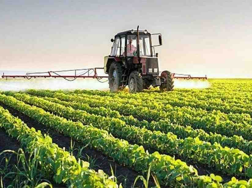 Tractor spraying crops in green agricultural field using fuel