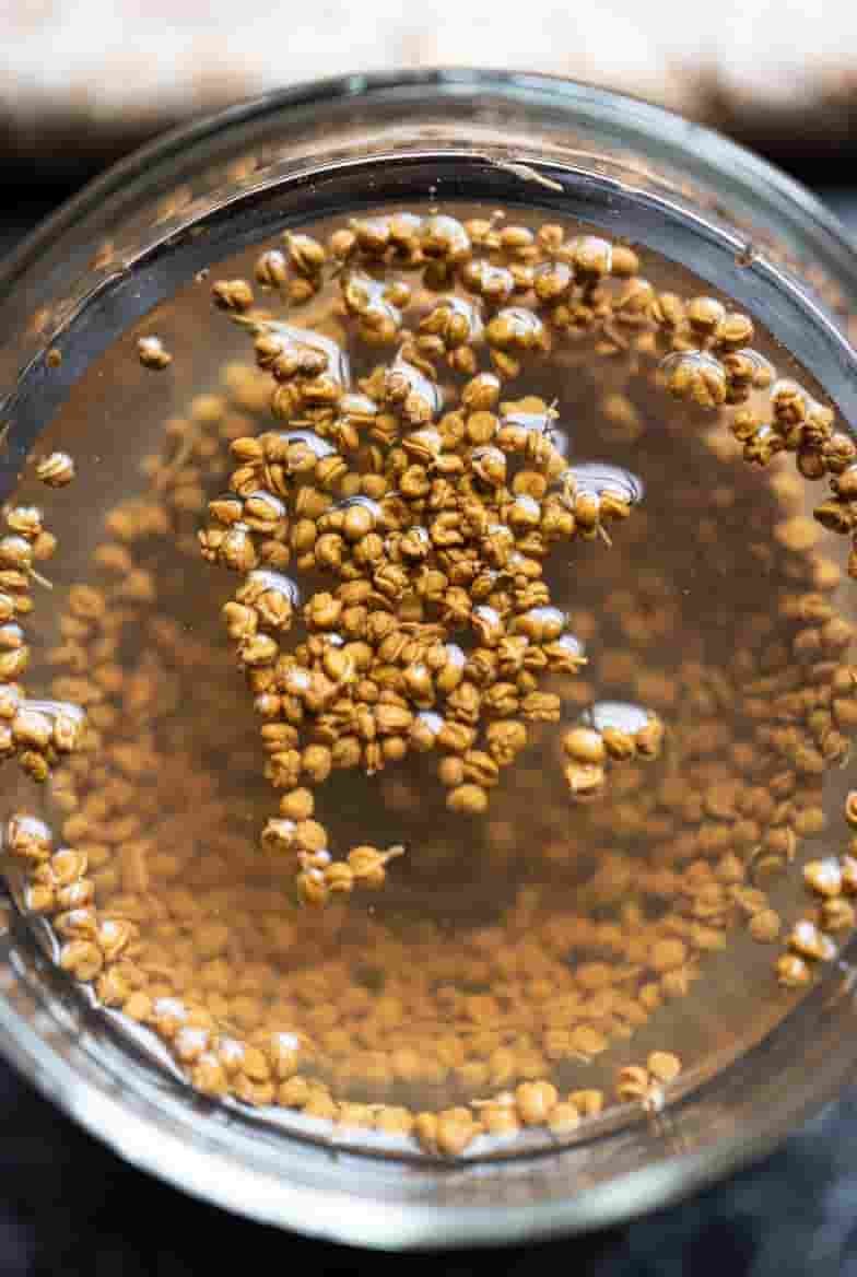 A close-up image of soaked fenugreek (methi) seeds in a glass bowl of water,