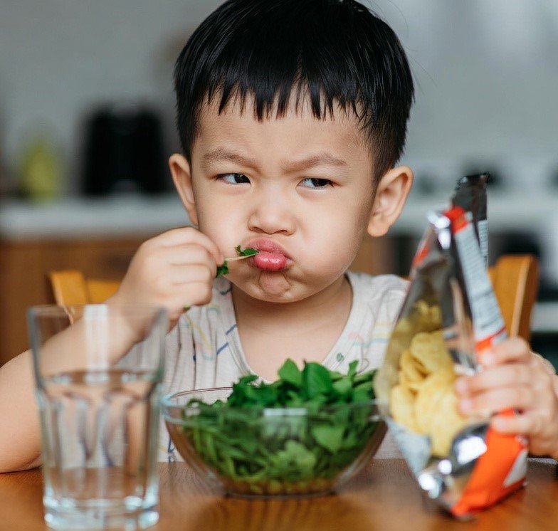 Child refusing healthy meal while holding junk food like chips
