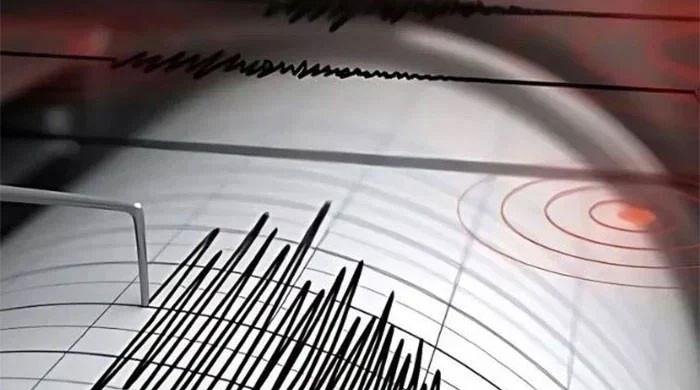 Richter scale graphic showing 6.3 magnitude earthquake level indicator