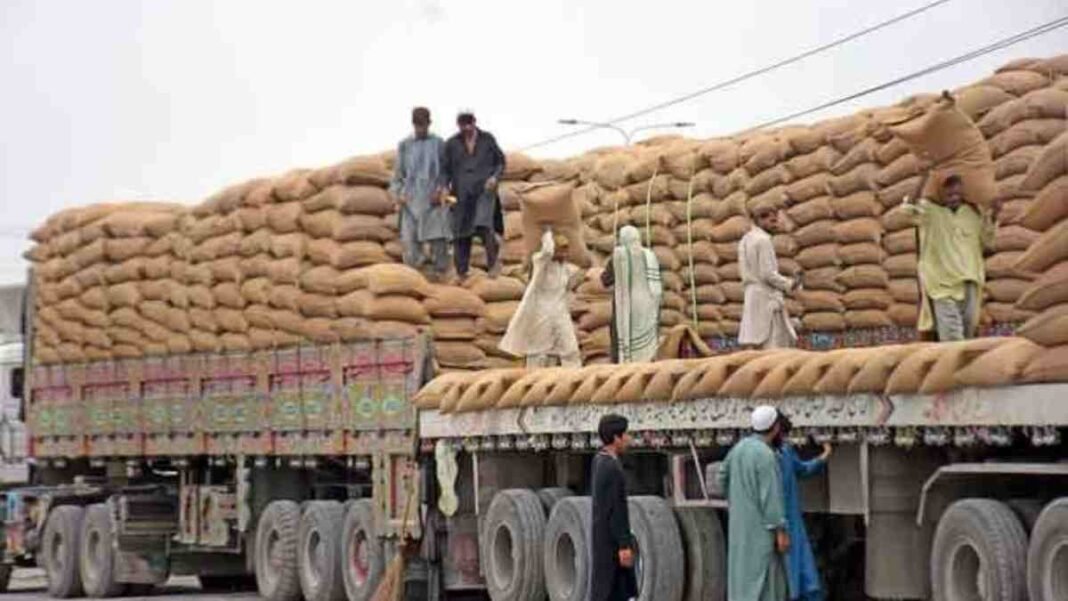 Wheat supply trucks carrying flour sacks during rising flour prices in KP