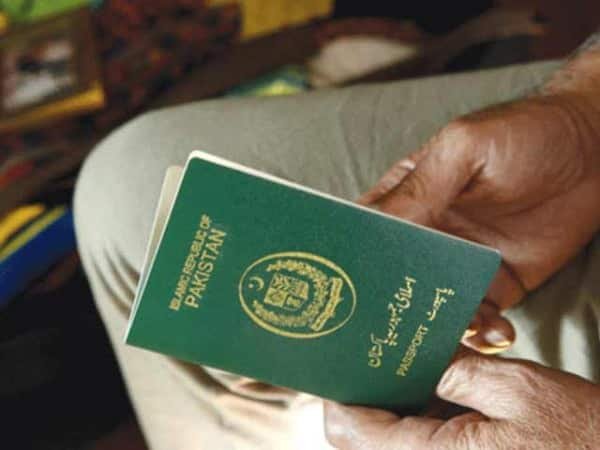 Green passport in the hand of a man viewing its details