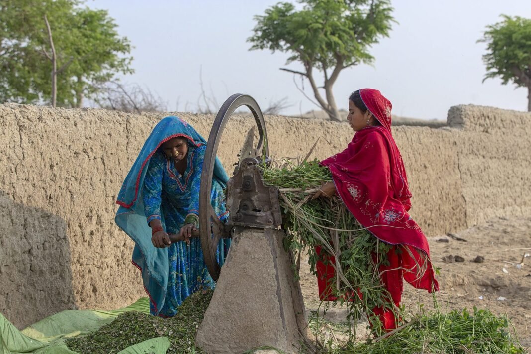 Aqsa Mirwani: Balochistan’s Young Farmer Among UN FAO’s 100 Women Heroes