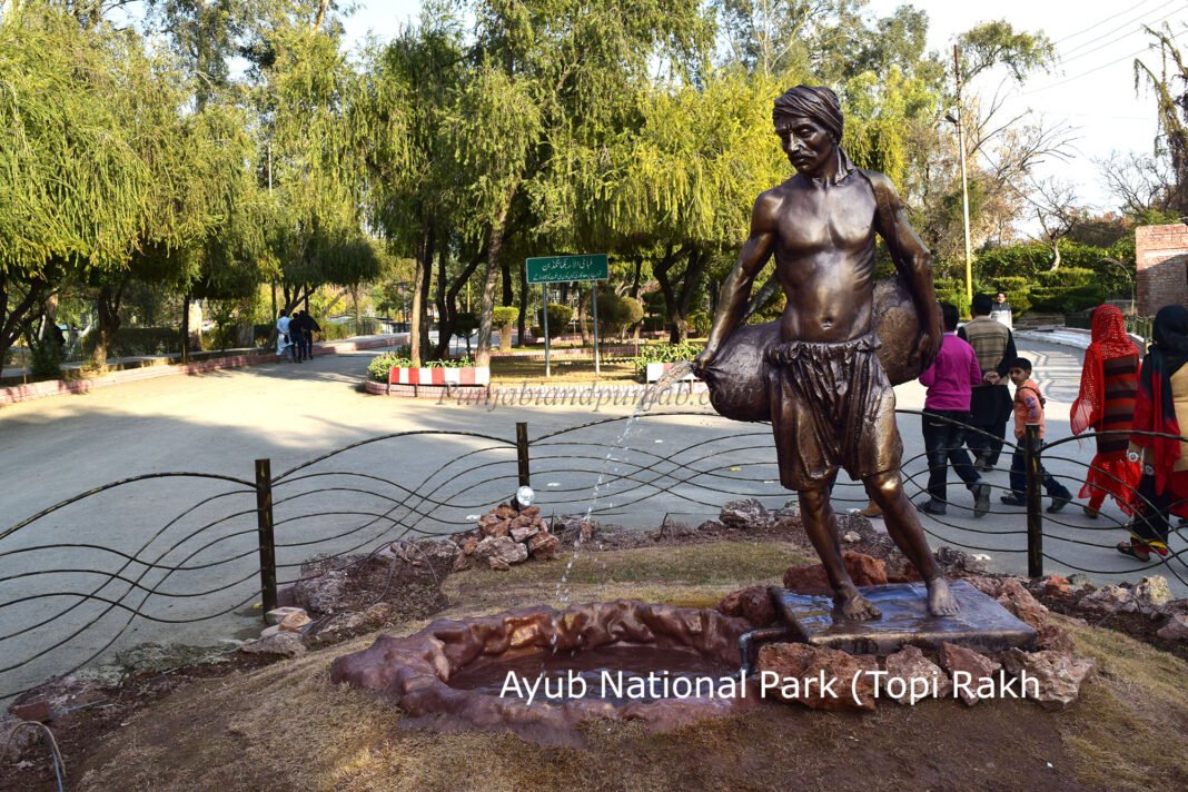 Ayub National Park Rawalpindi: Why You Should Visit & When to Go | Explore Pakistan Ayub National Park Rawalpindi: Why You Should Visit & When to Go | Explore Pakistan