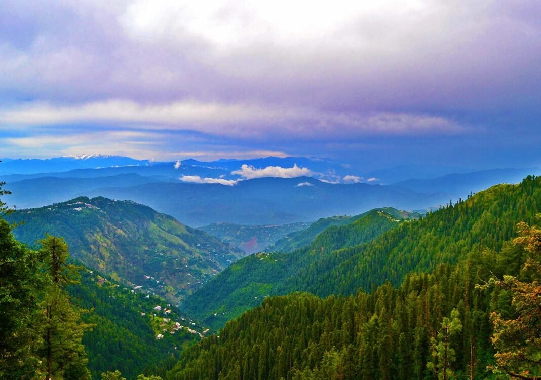 Ayubia National Park: Why You Should Visit & When to Go | Explore Pakistan Ayubia National Park: Why You Should Visit & When to Go | Explore Pakistan
