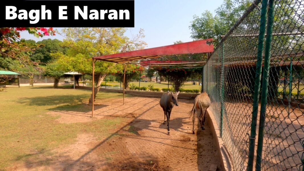Bagh-E-Naran Peshawar: Why You Should Visit & When to Go | Explore Pakistan Bagh-E-Naran Peshawar: Why You Should Visit & When to Go | Explore Pakistan