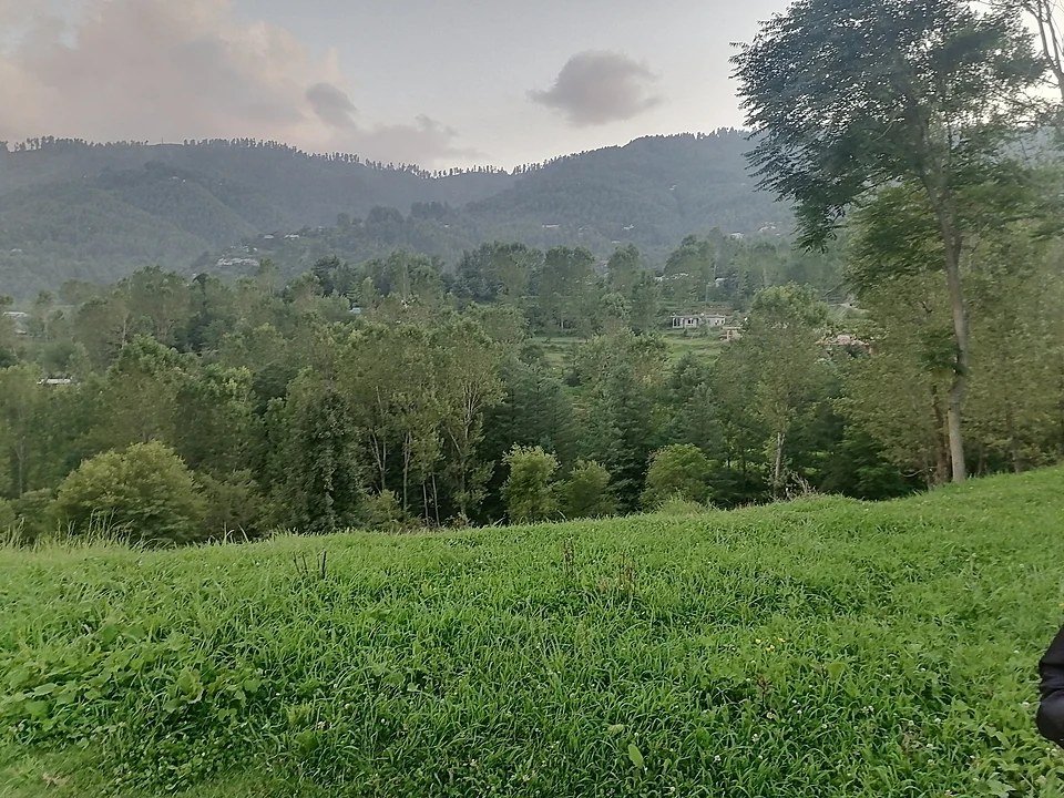 Chikar: Why You Should Visit & When to Go | Explore Pakistan Chikar: Why You Should Visit & When to Go | Explore Pakistan
