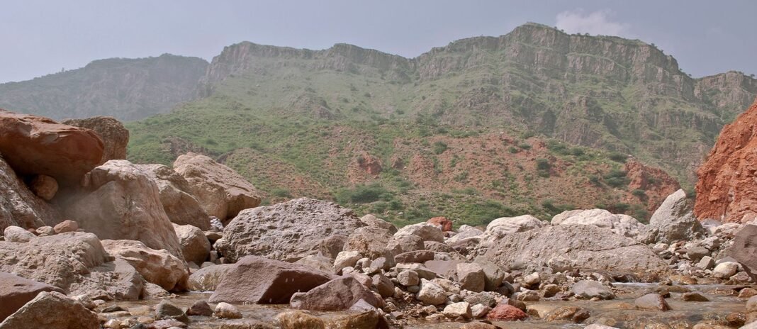 Chinji Reserve Forest: Why You Should Visit & When to Go | Explore Pakistan Chinji Reserve Forest: Why You Should Visit & When to Go | Explore Pakistan