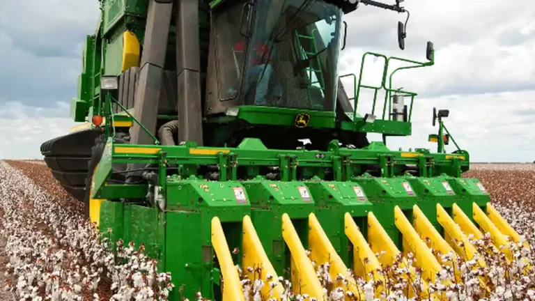 Pakistan Cotton Exports: Yarn, Cloth & the Flood-Hit Crop (0M)