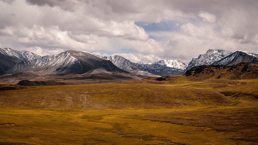 Deosai National Park: Why You Should Visit & When to Go | Explore Pakistan Deosai National Park: Why You Should Visit & When to Go | Explore Pakistan