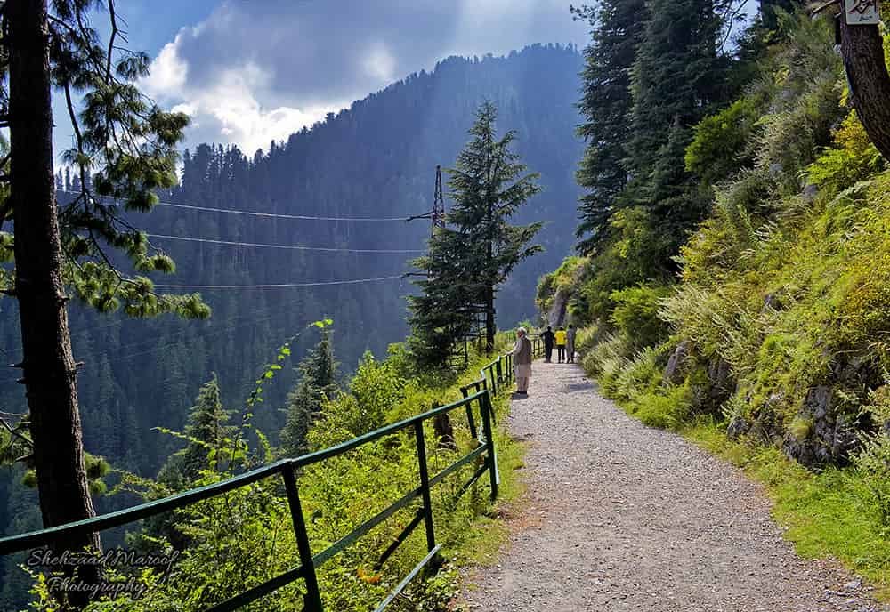 Dunga Gali: Why You Should Visit & When to Go | Explore Pakistan