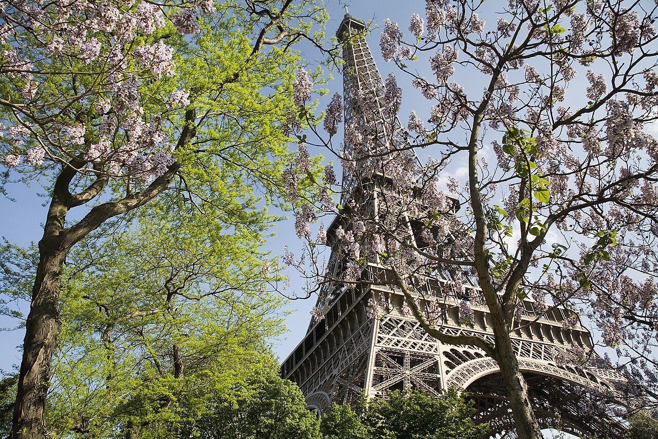 Pakistani Students Can Apply for Eiffel Scholarships in France for 2027