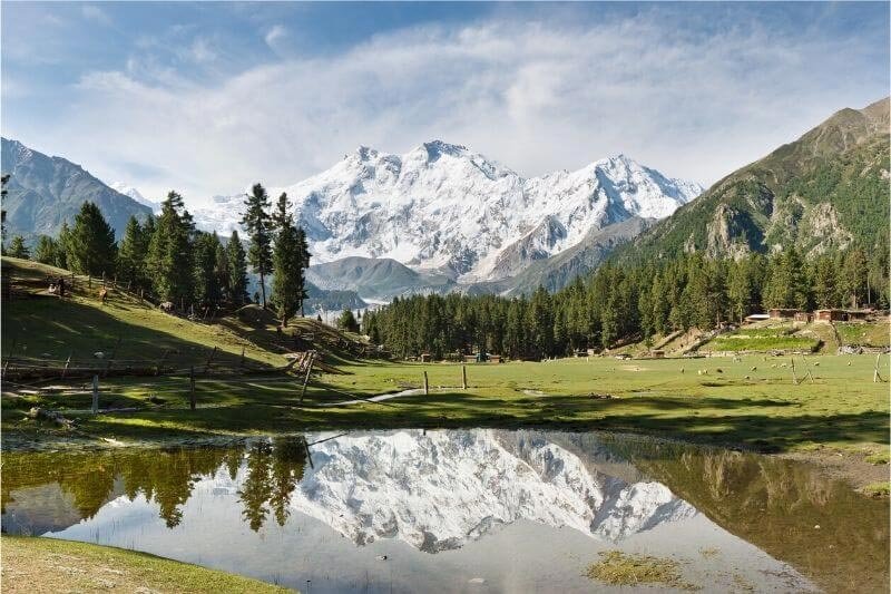 Fairy Meadows: Why You Should Visit & When to Go | Explore Pakistan Fairy Meadows: Why You Should Visit & When to Go | Explore Pakistan