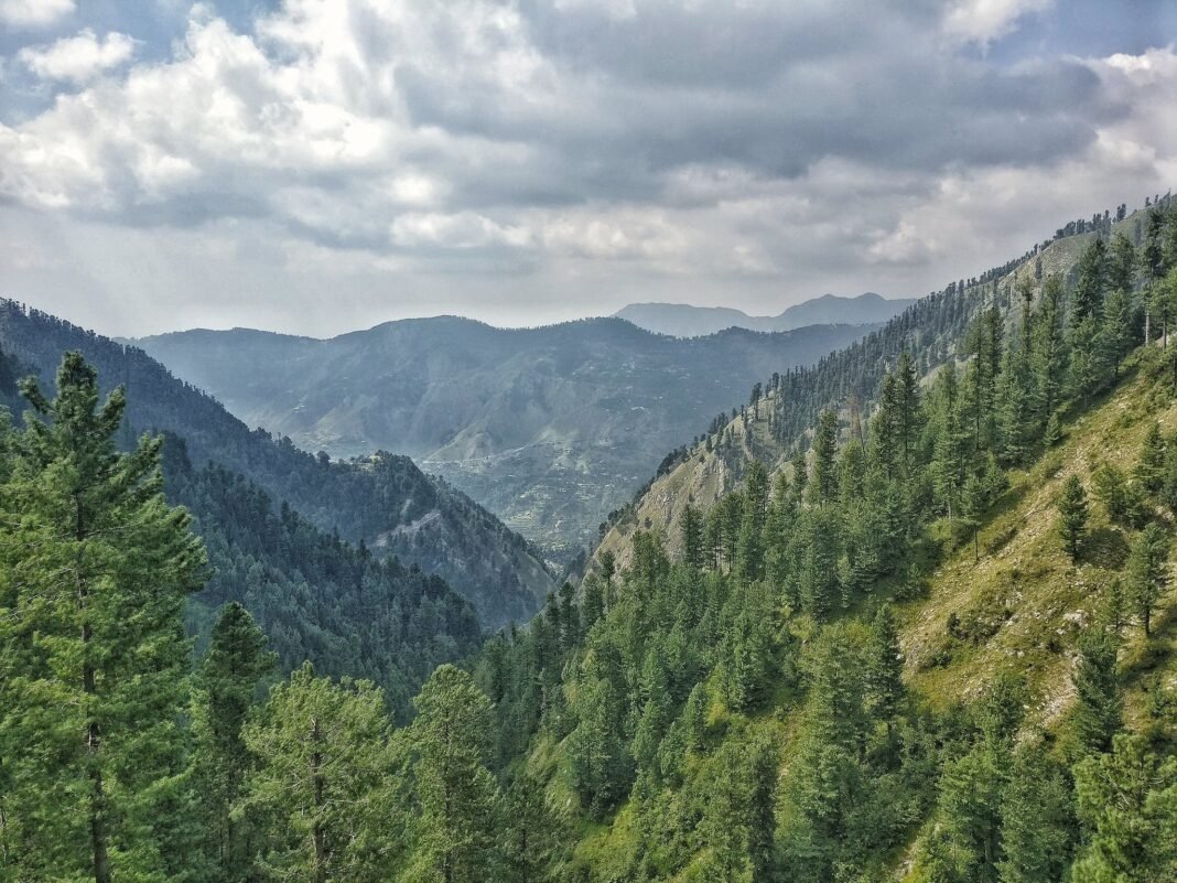 Galiyat: Why You Should Visit & When to Go | Explore Pakistan Galiyat: Why You Should Visit & When to Go | Explore Pakistan