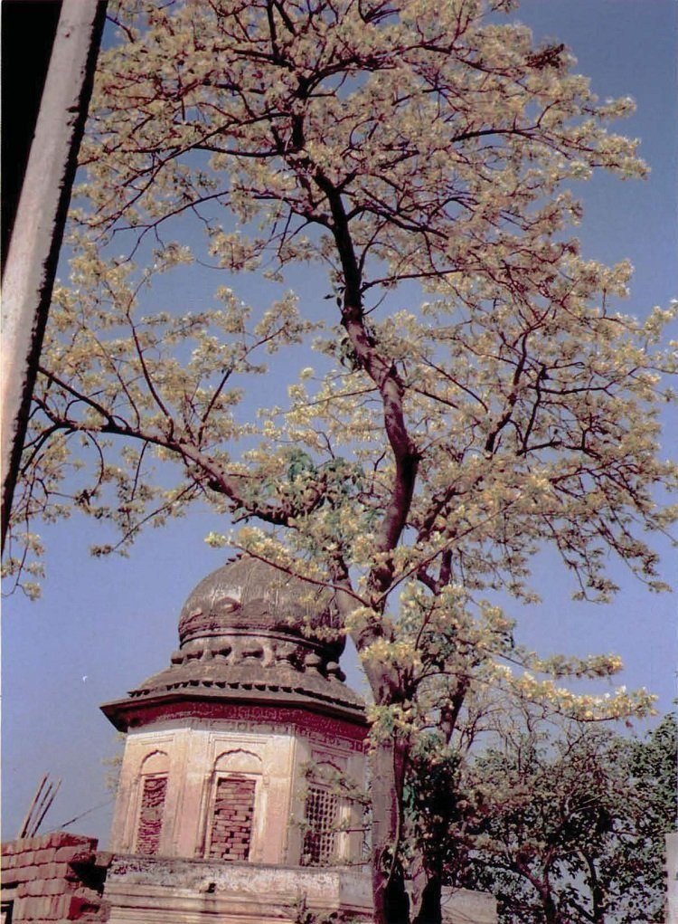 Gurdwara Chhevin Patshahi, Minhala: Why You Should Visit & When to Go | Explore Pakistan