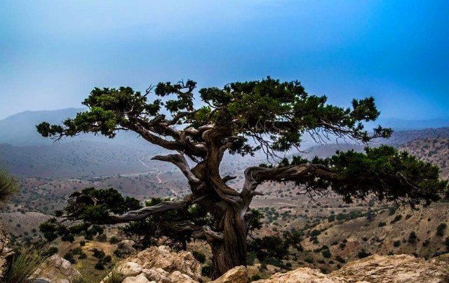 Harboi Hills: Why You Should Visit & When to Go | Explore Pakistan Harboi Hills: Why You Should Visit & When to Go | Explore Pakistan