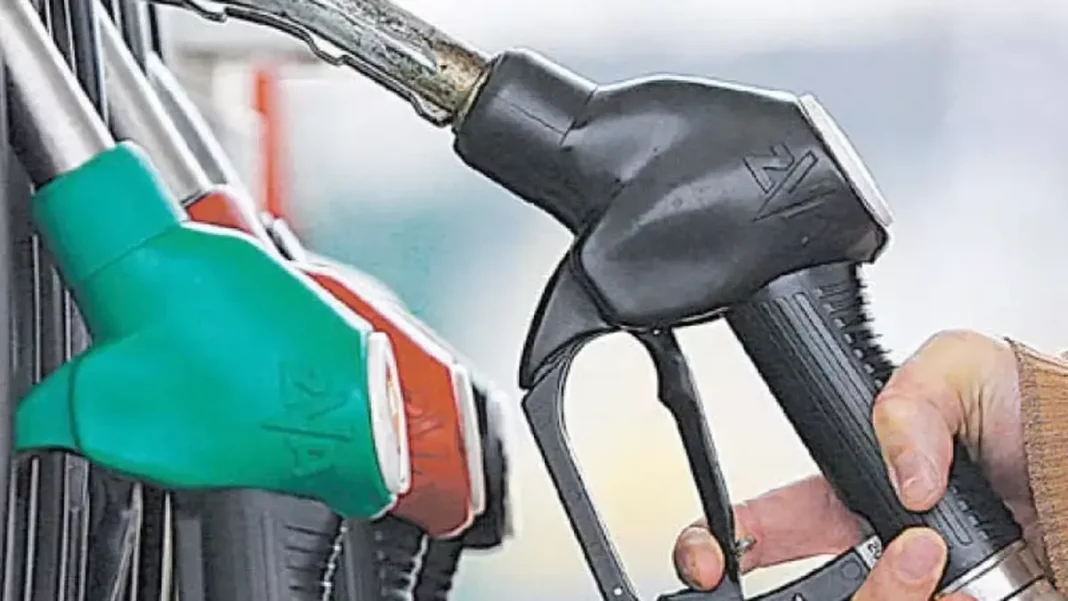31,000 Consumers Denied Petrol Subsidy A hand holding a fuel nozzle at a petrol station, as 31,000 consumers were denied the petrol subsidy