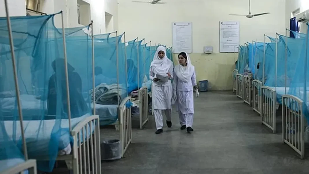 Dengue Cases Reach 109 in Twin Cities as Pindi Reports 67