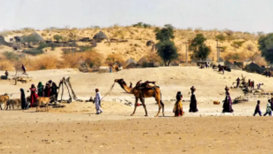 On World Food Day, drought pushes Tharparkar families to migrate with livestock