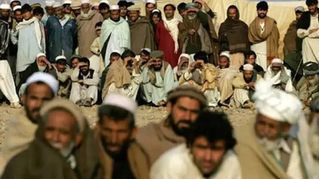 517 Afghan Nationals Arrested in a Week, IOM-UNHCR Report Says Afghan nationals arrested — file photo of Afghan nationals waiting to be deported
