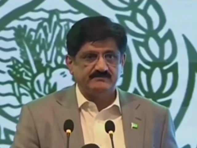 Sindh approves subsidised wheat release to stabilise flour prices