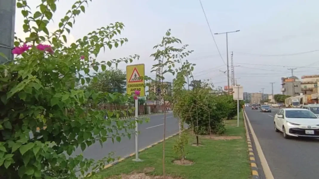 Punjab to establish parks authorities in all districts by January 2027