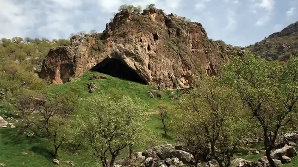 75,000-year-old bones in Iraq show Neanderthals knew violence and care