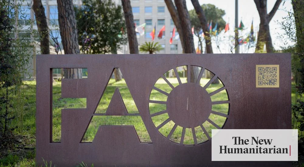 FAO Gaza Sacking: Benjamin Davis Says Speaking Out Cost Him His UN Job Benjamin Davis FAO Gaza sacking — FAO headquarters signage in Rome