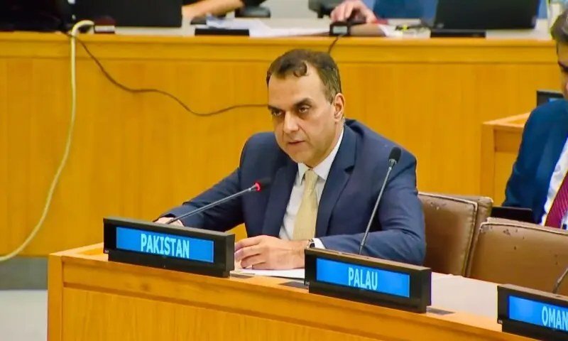Pakistan Urges UN to Deliver Self-Determination for Kashmir and Palestine Kashmir Palestine self-determination debate at the UN with Ambassador Usman Jadoon