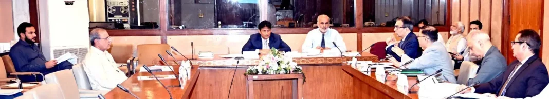 Senate Panel Questions Rs2.6 Trillion Federal Spending on Devolved Ministries