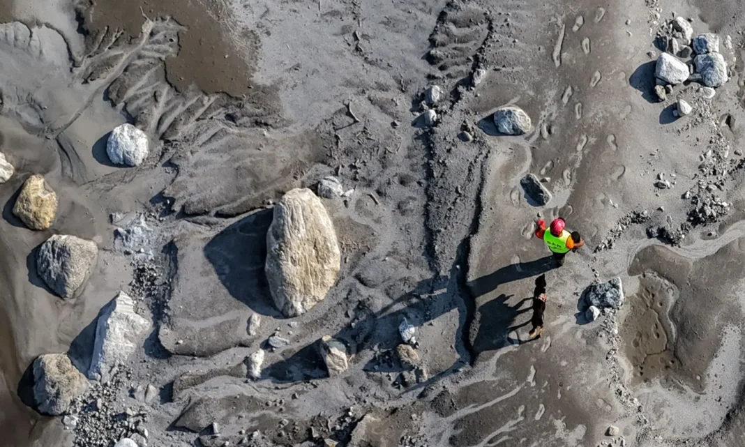 Nepal’s grim DNA puzzle: thousands of samples, weeks of waiting to name the flood dead A search and rescue team member with a sniffer dog on the Trishuli River after the Nepal flash flood