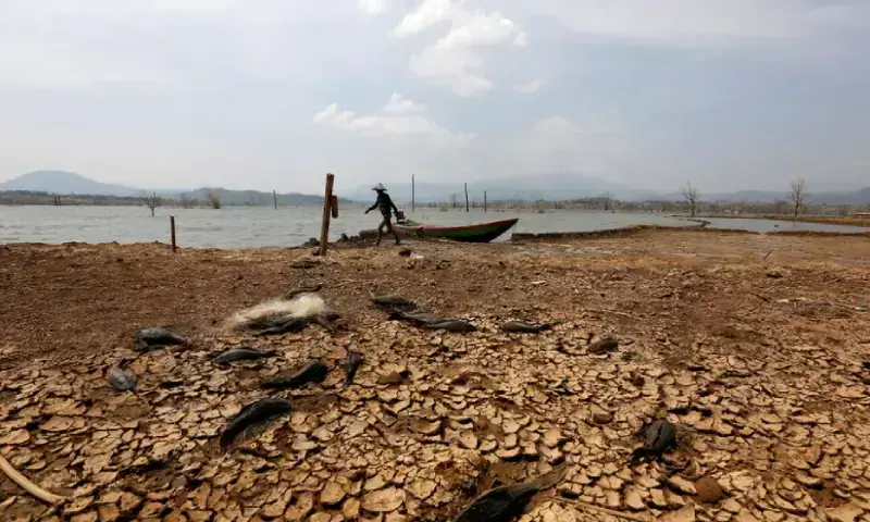 El Niño will intensify, then peak in December, the UN says El Niño: dried reservoir bed during drought