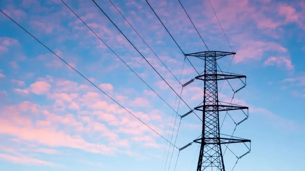 Islamabad’s Electricity Poles to Go Underground Within Two Years: Naqvi