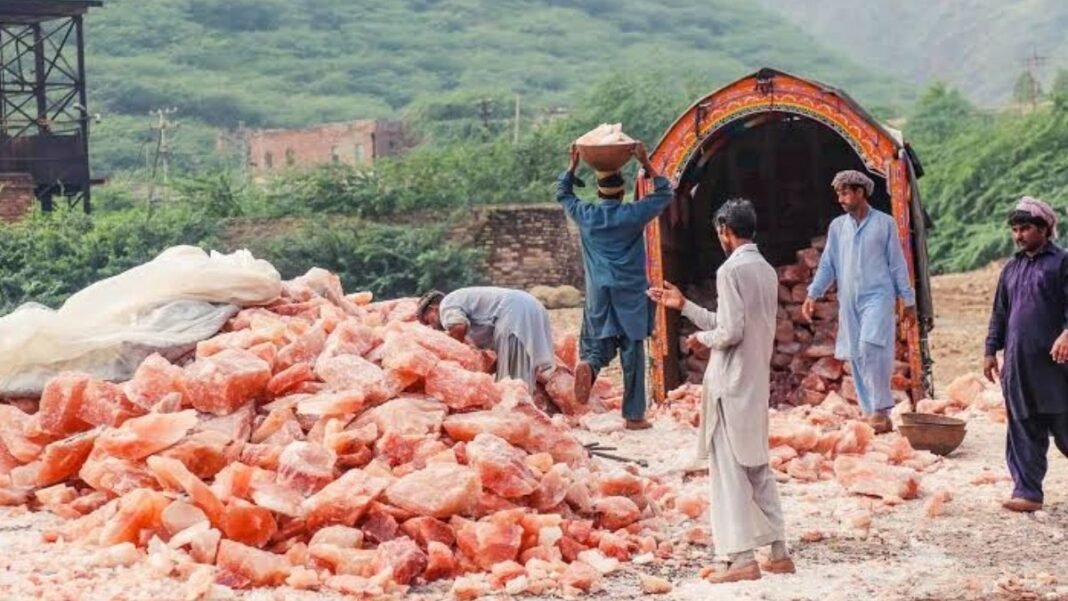Punjab launches Rs5 billion interest-free pink salt loan scheme Workers loading pink salt onto a truck; pink salt loan scheme launched in Punjab