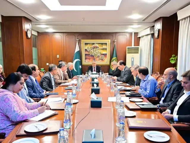 Dar orders crackdown on hoarding and overpricing of essential items Deputy PM Ishaq Dar chairing the cabinet committee meeting — hoarding and overpricing crackdown