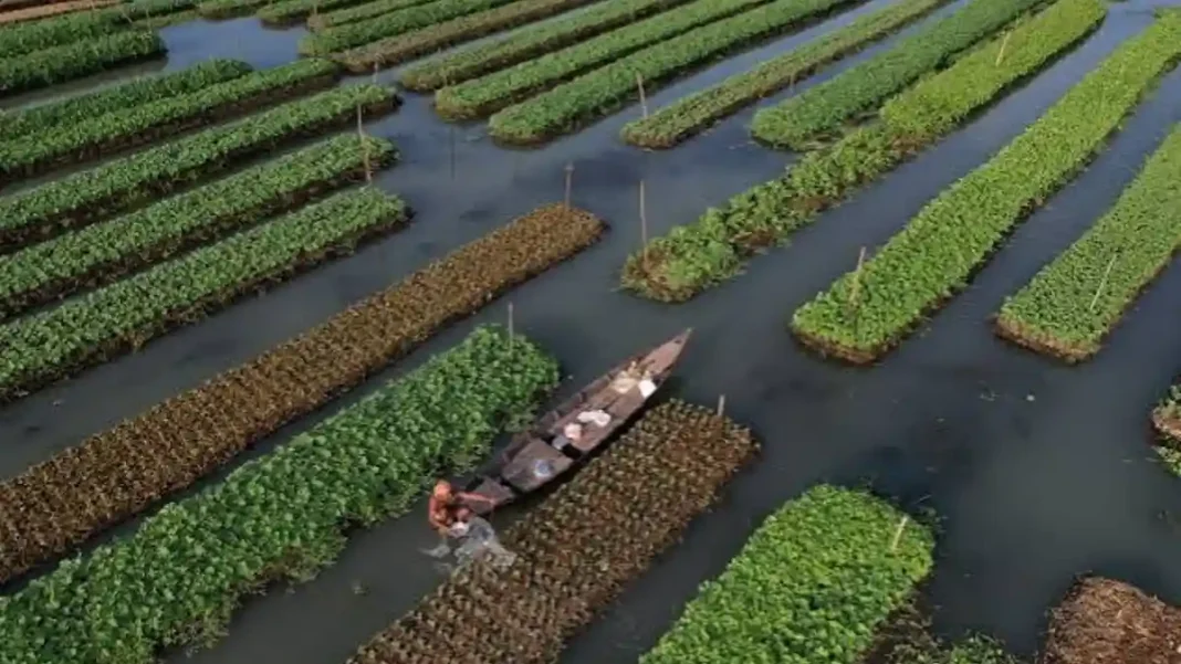 Sindh Proposes .15m Floating Agriculture Project for 100 Flood-Prone Villages