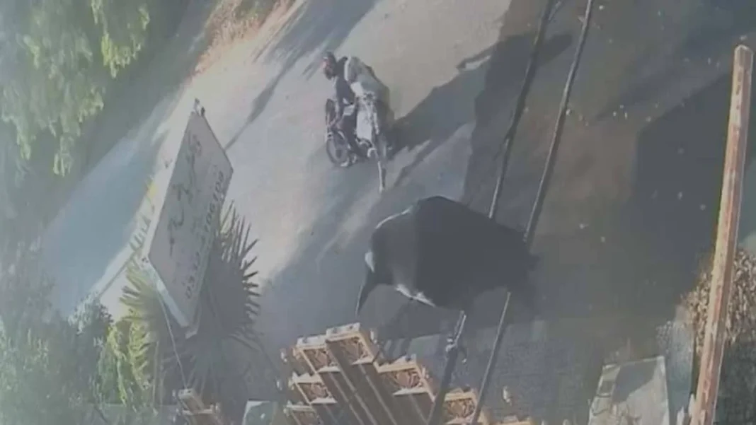 Woman Jumps From Moving Bike to Escape Lahore Rider CCTV view of a motorcycle on a road in Lahore, Lahore bike rider case