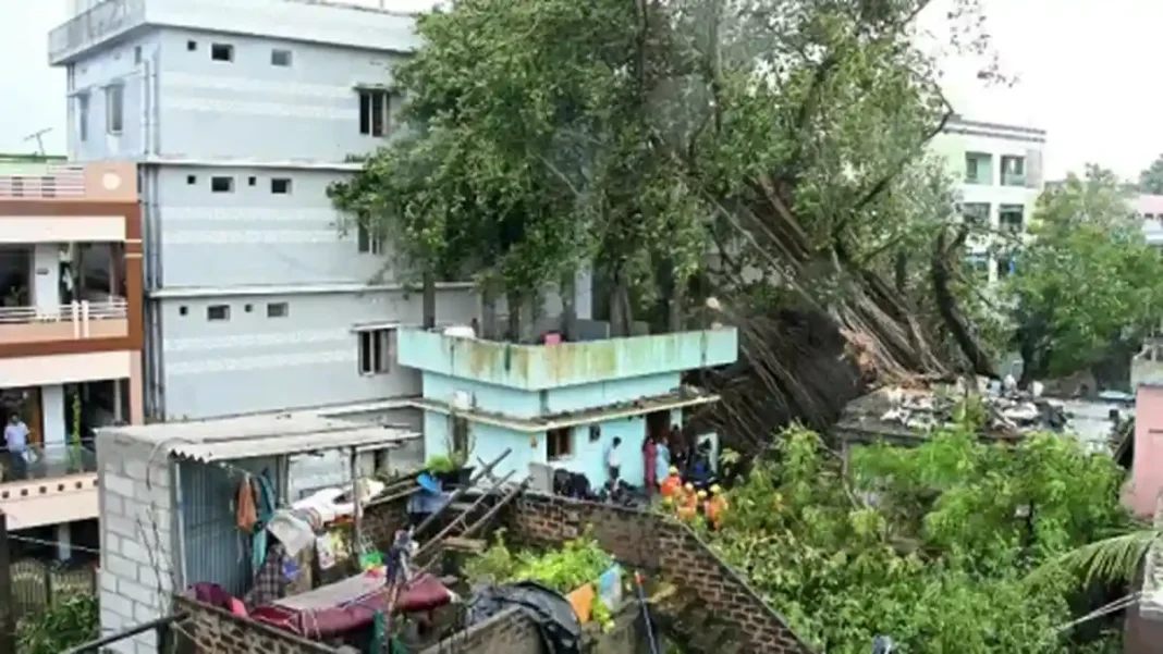 Cyclone Arnab Leaves Six Dead on India’s East Coast Uprooted tree fallen on houses after Cyclone Arnab — Cyclone Arnab deaths