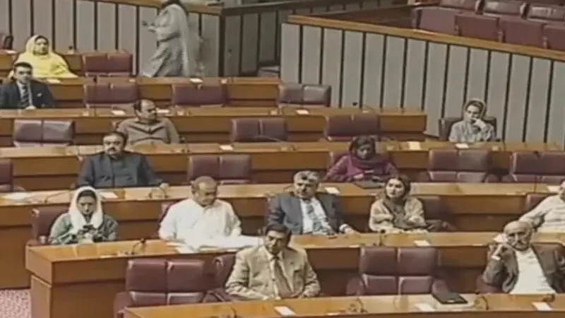 National Assembly Backs KP Emergency as PTI Takes the Fight to Peshawar High Court KP emergency National Assembly resolution: members of the National Assembly during the session on the KP emergency