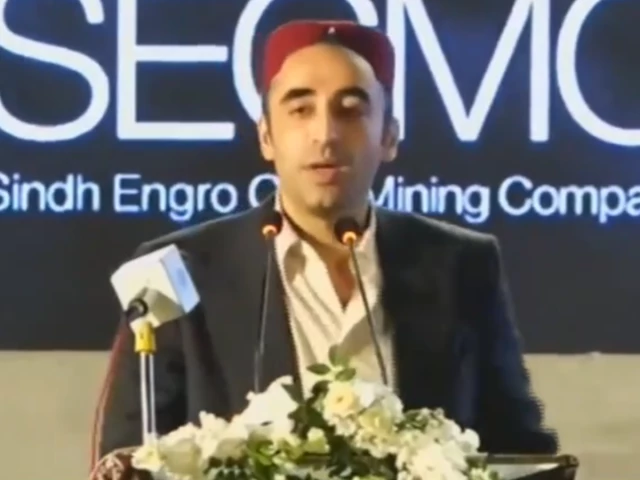 Bilawal: If the System Has Failed, Hand Islamabad to Tharparkar