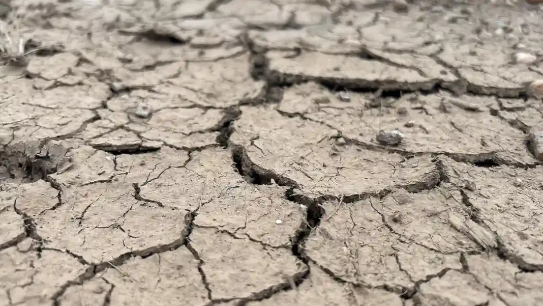 El Nino Could Make 2026 the Hottest Year Ever, Copernicus Warns El Nino 2026 hottest year: drought-cracked soil as Copernicus warns of a record hot year