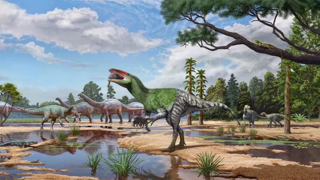 Invictibellatrix Amberina: Tiger-Sized New Dinosaur Identified From 100-Year-Old Fossil Invictibellatrix amberina — an artist's illustration of the newly identified megaraptoran dinosaur in its Early Cretaceous habitat