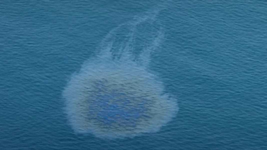 Ras Al Khaimah Shuts All Beaches as Oil Spill Spreads Ras Al Khaimah beaches: an aerial view of the oil slick off the UAE coast