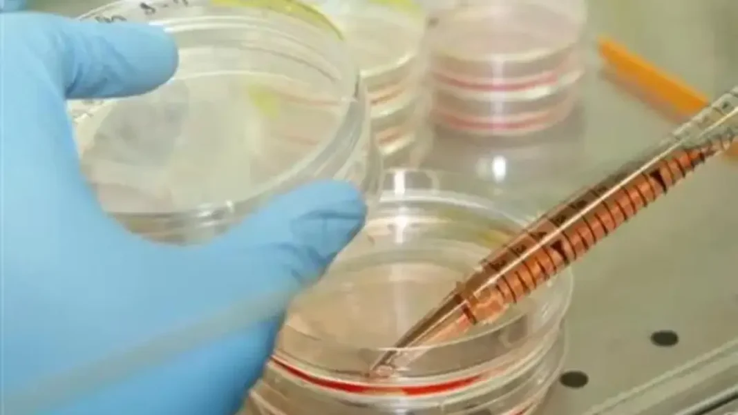First Patient Receives Pioneering Stem-Cell Treatment for Parkinson’s in Japan