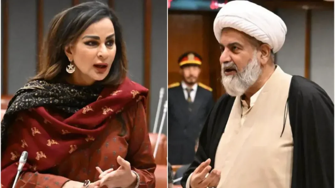 ‘Will Petrol Be Available in December?’: Senate Echoes With Fuel Supply Fears Petrol supply Pakistan: Sherry Rehman and Raja Nasir Abbas raise fuel concerns in the Senate