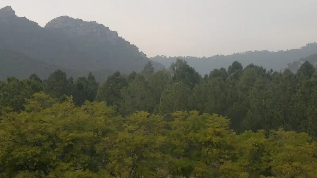 Islamabad Pakistan Tourism: Best Time, Hotels, Transport and Costs Margalla Hills forest above Islamabad, Pakistan
