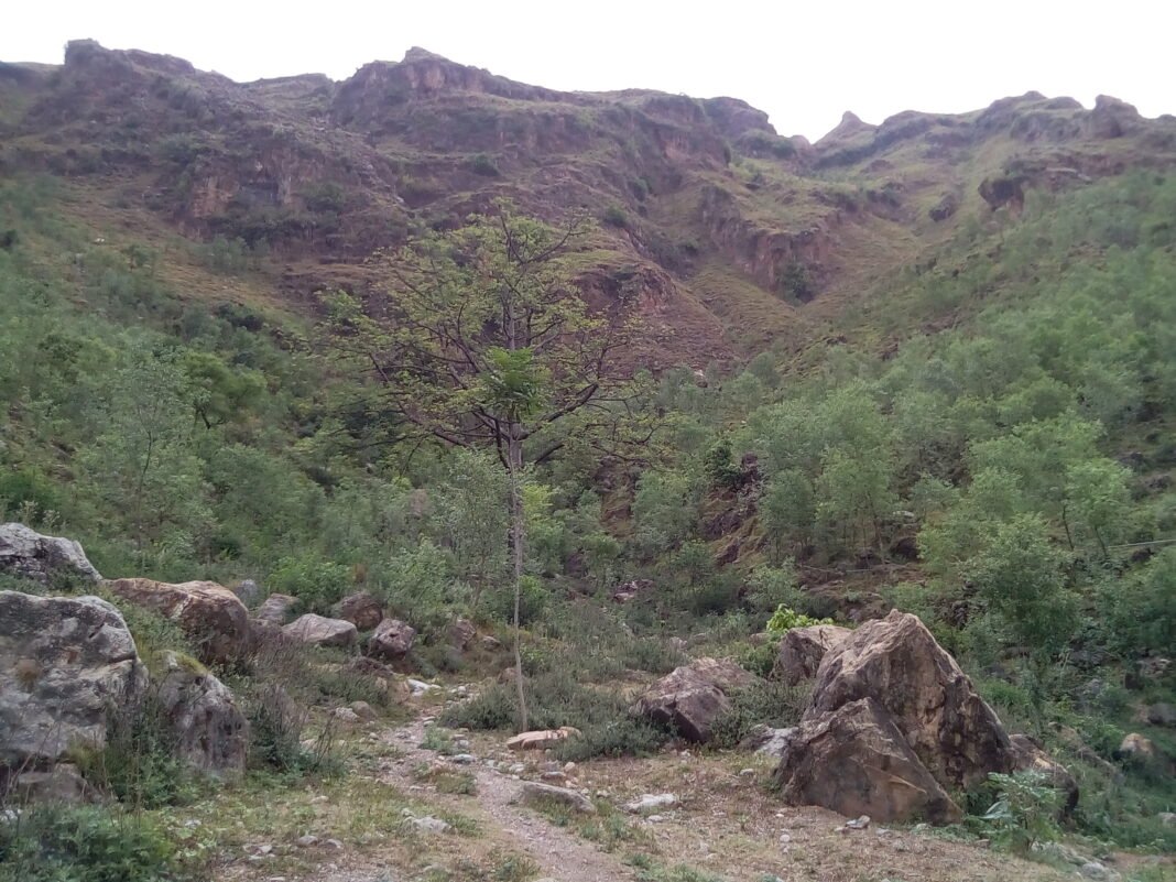 Kaini Bayan Temples, Kotli: Why You Should Visit & When to Go | Explore Pakistan